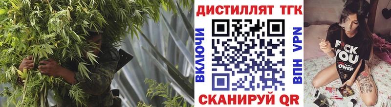 kraken сайт  цены   Щёлково  Дистиллят ТГК гашишное масло 