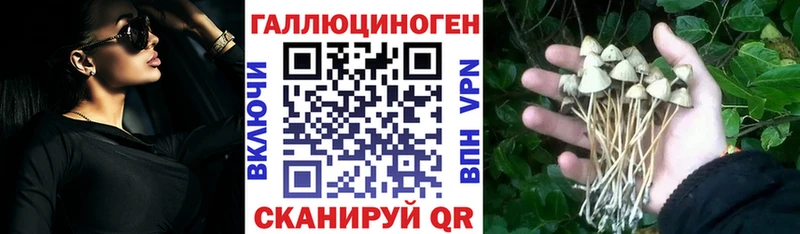 Галлюциногенные грибы мухоморы купить наркоту Щёлково